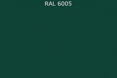 RAL 6005