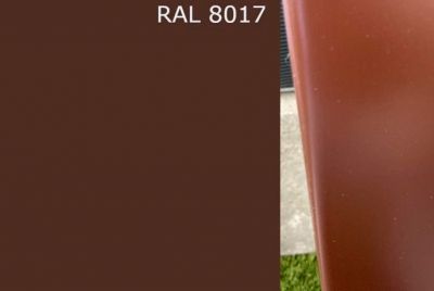 RAL 8017